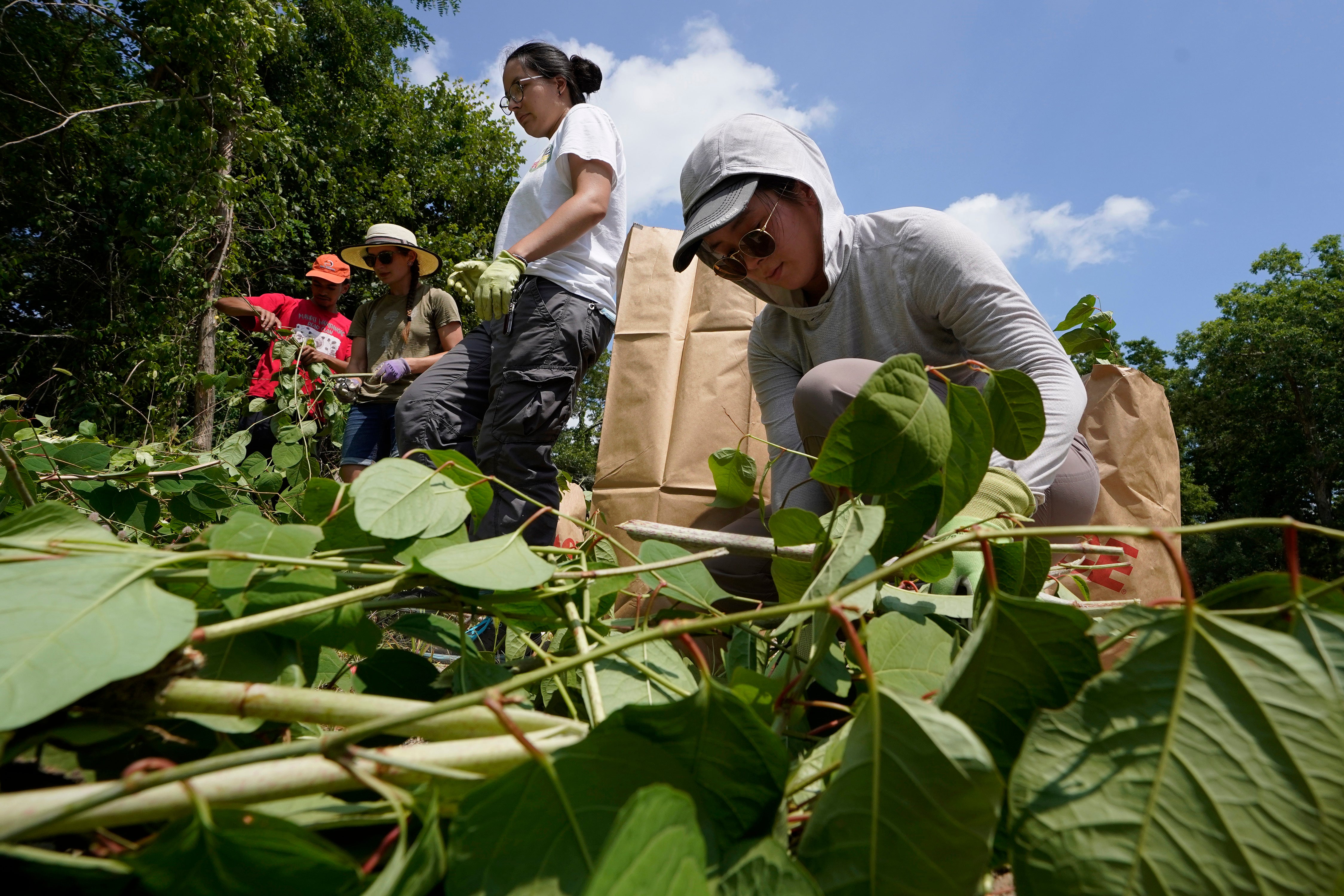 Restoring Native Lands