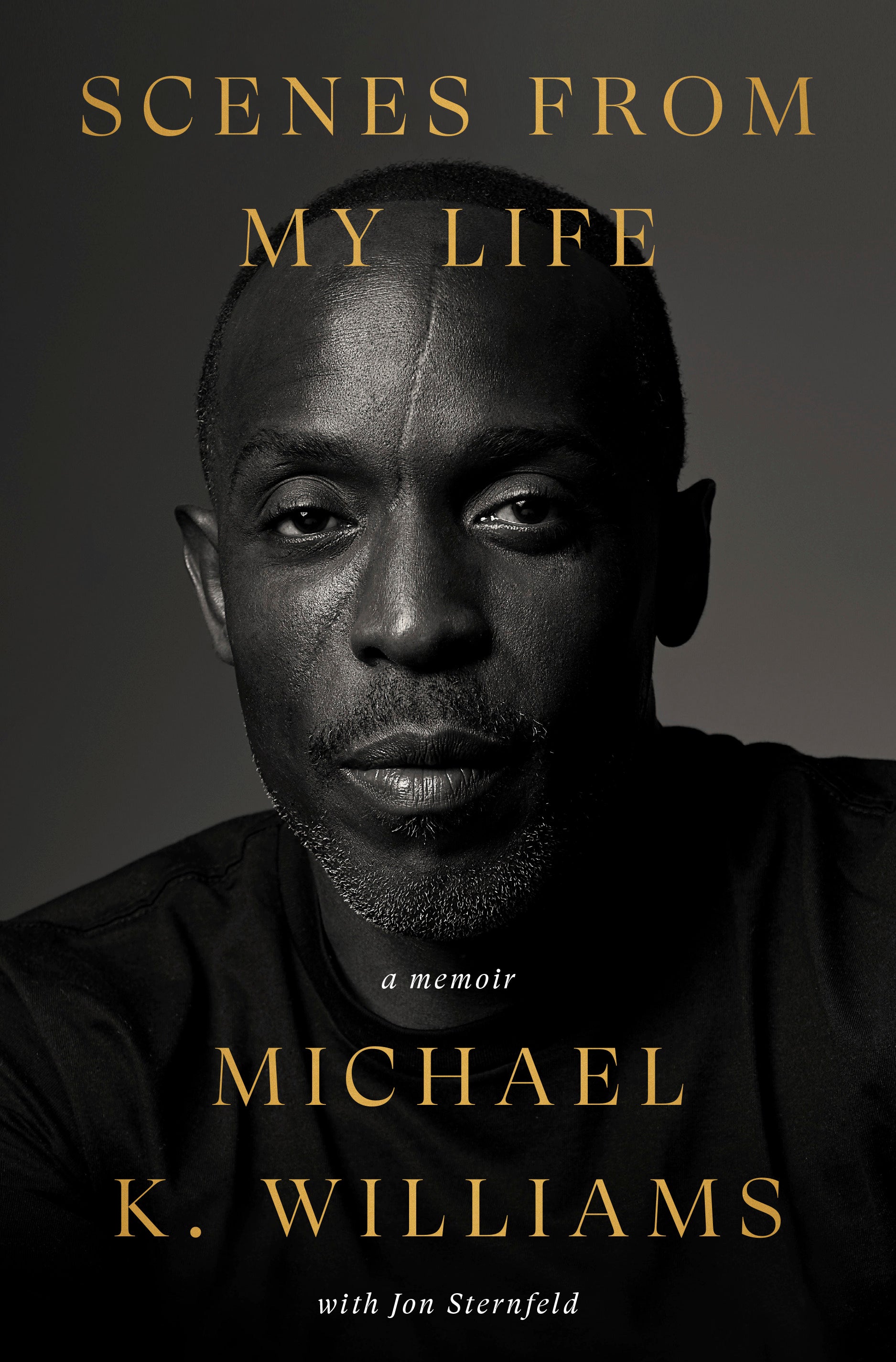 Williams’ posthumous memoir, Scenes From My Life, which discussed his battle with addiction