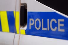 Inquiry after Black child mauled by police dog while being detained by armed officers