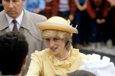 Diana anniversary: Photographs from the princess’s life and times