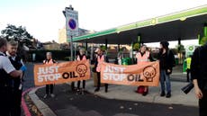 Dozens arrested after Just Stop Oil protesters target London petrol stations