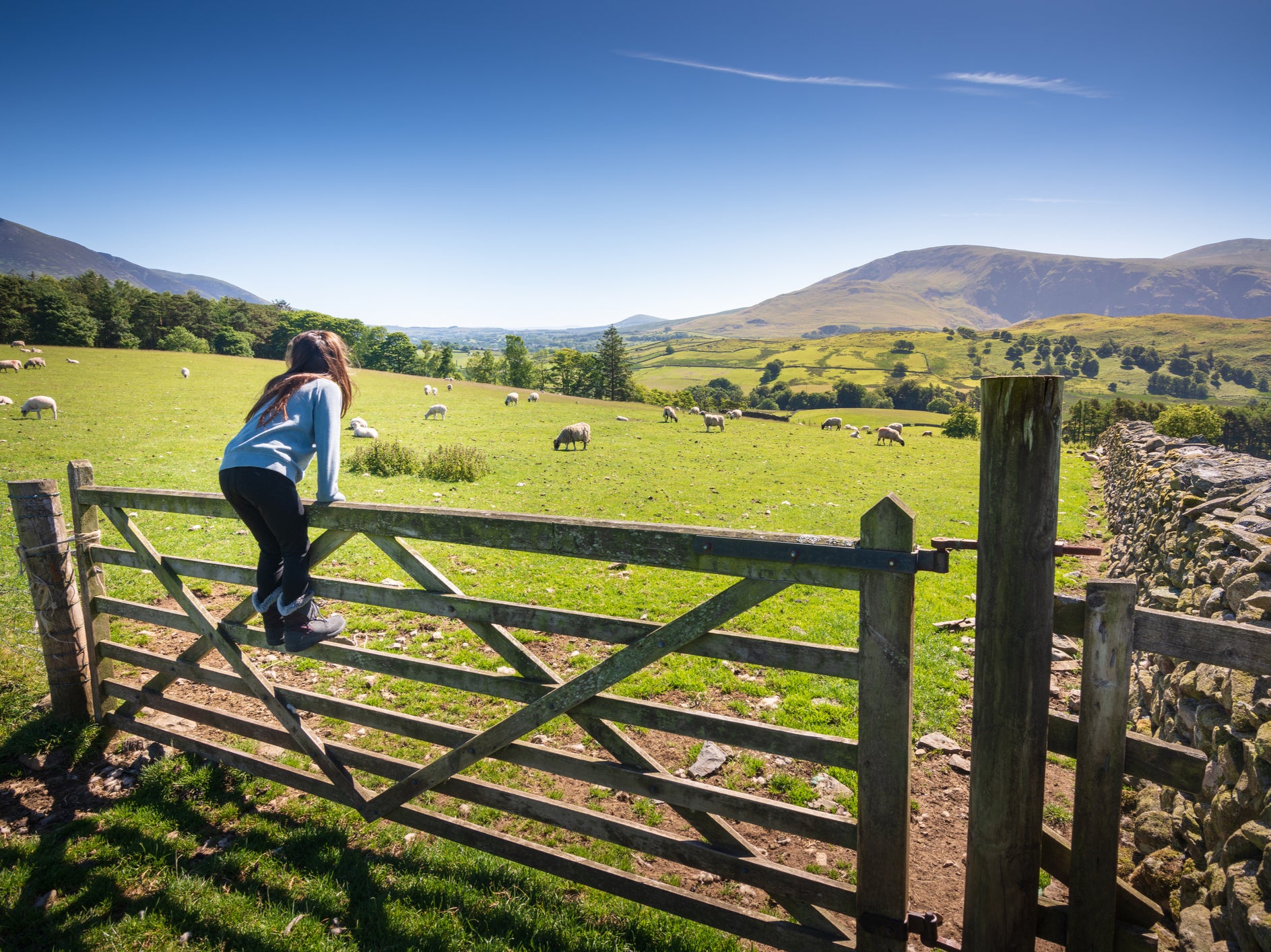 A whopping 44 per cent of adults think children would have a better upbringing in the country