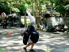 Man dressed as ostrich runs amok in Thailand zoo in animal escape drill