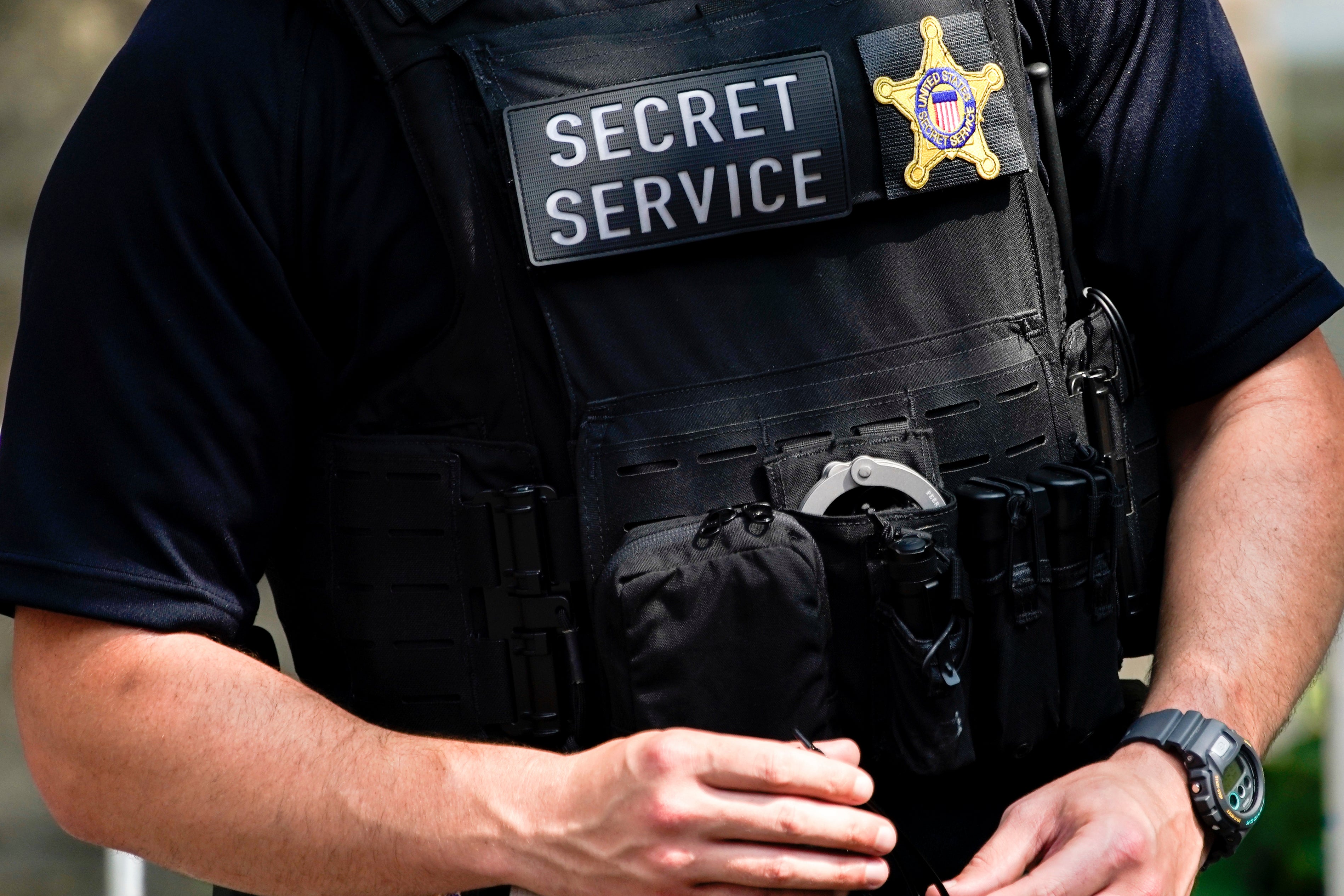 Secret Service Pandemic Funds