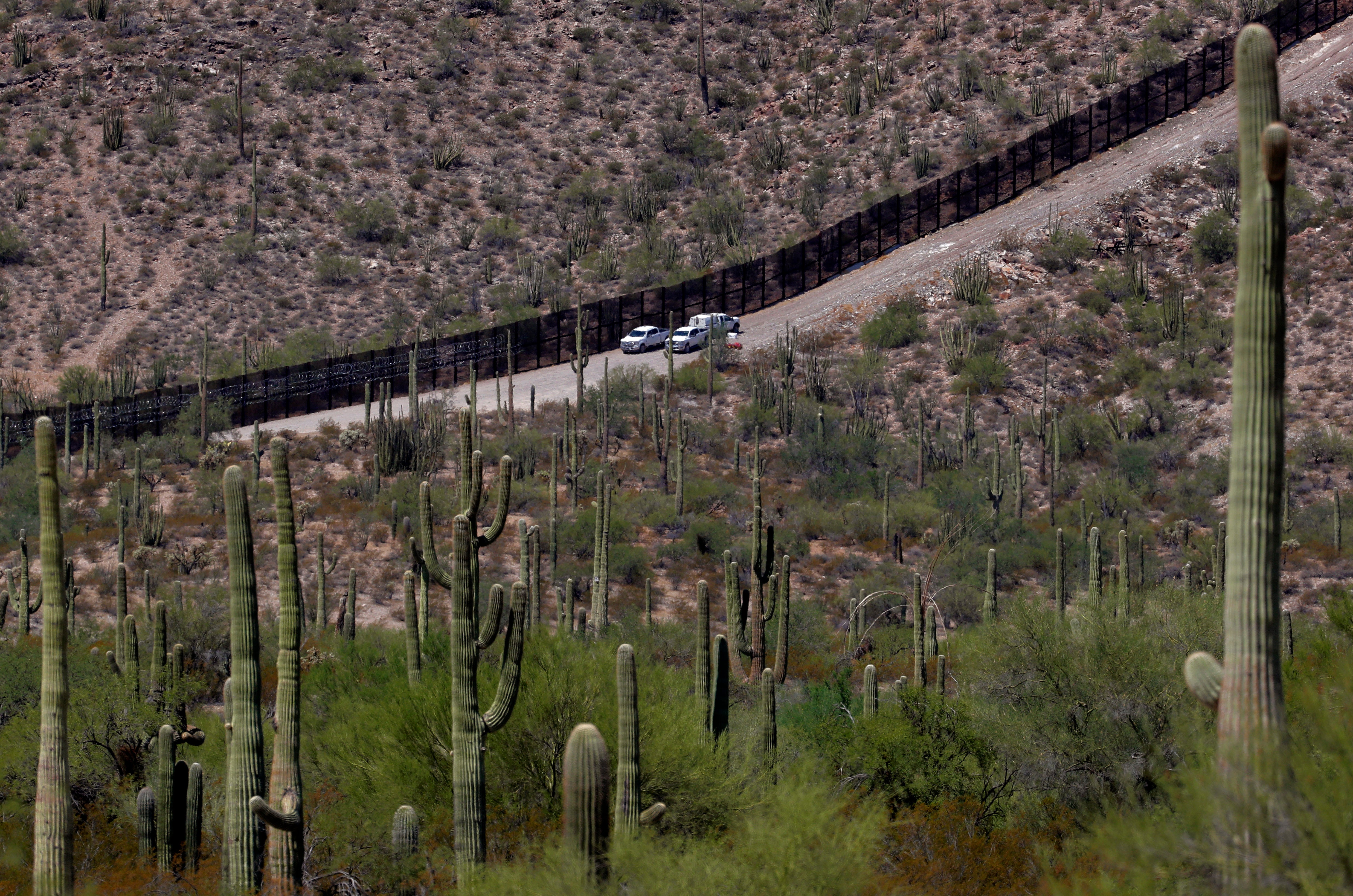 Migrant Children Abandoned