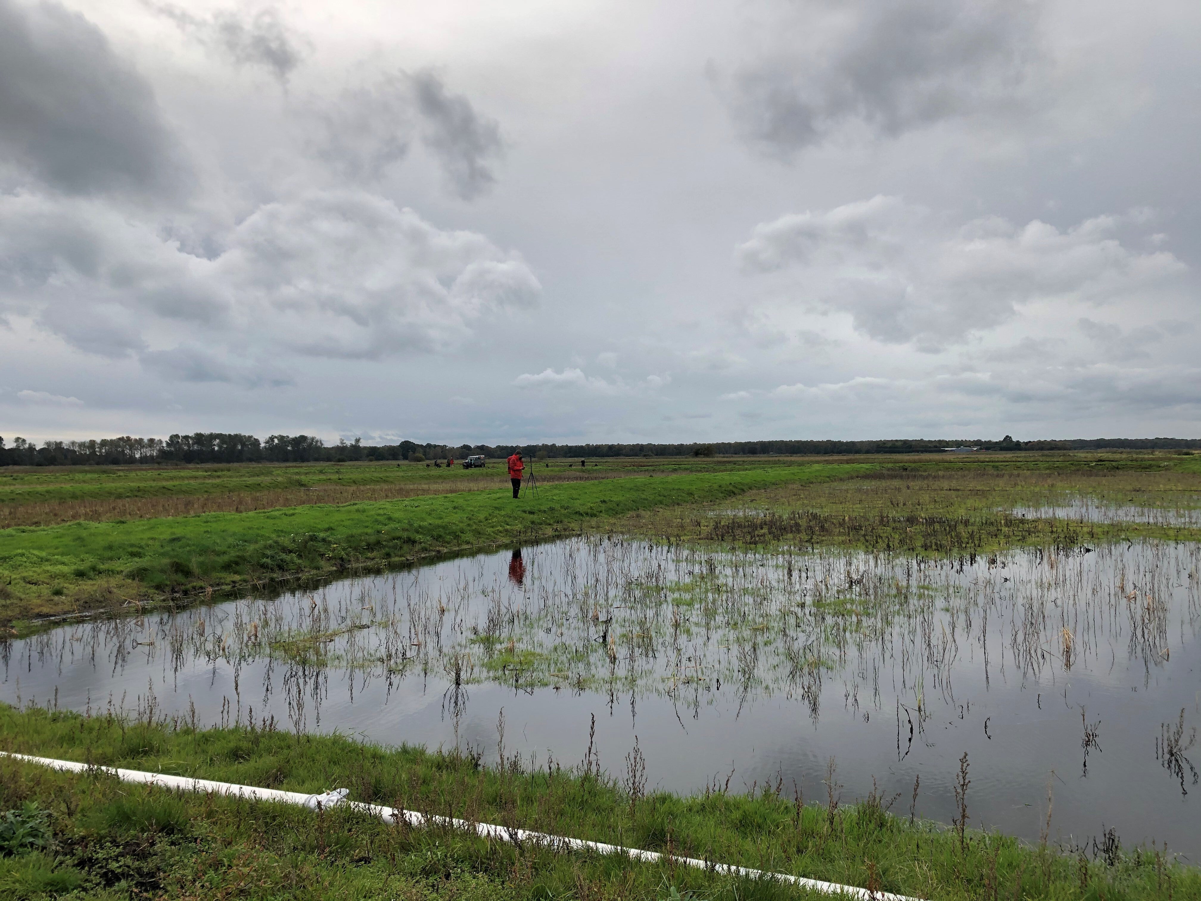 The Government is promoting ‘paludiculture’ – farming on wetlands – in a bid to restire the UK’s peatlands (Emily Beament/PA)