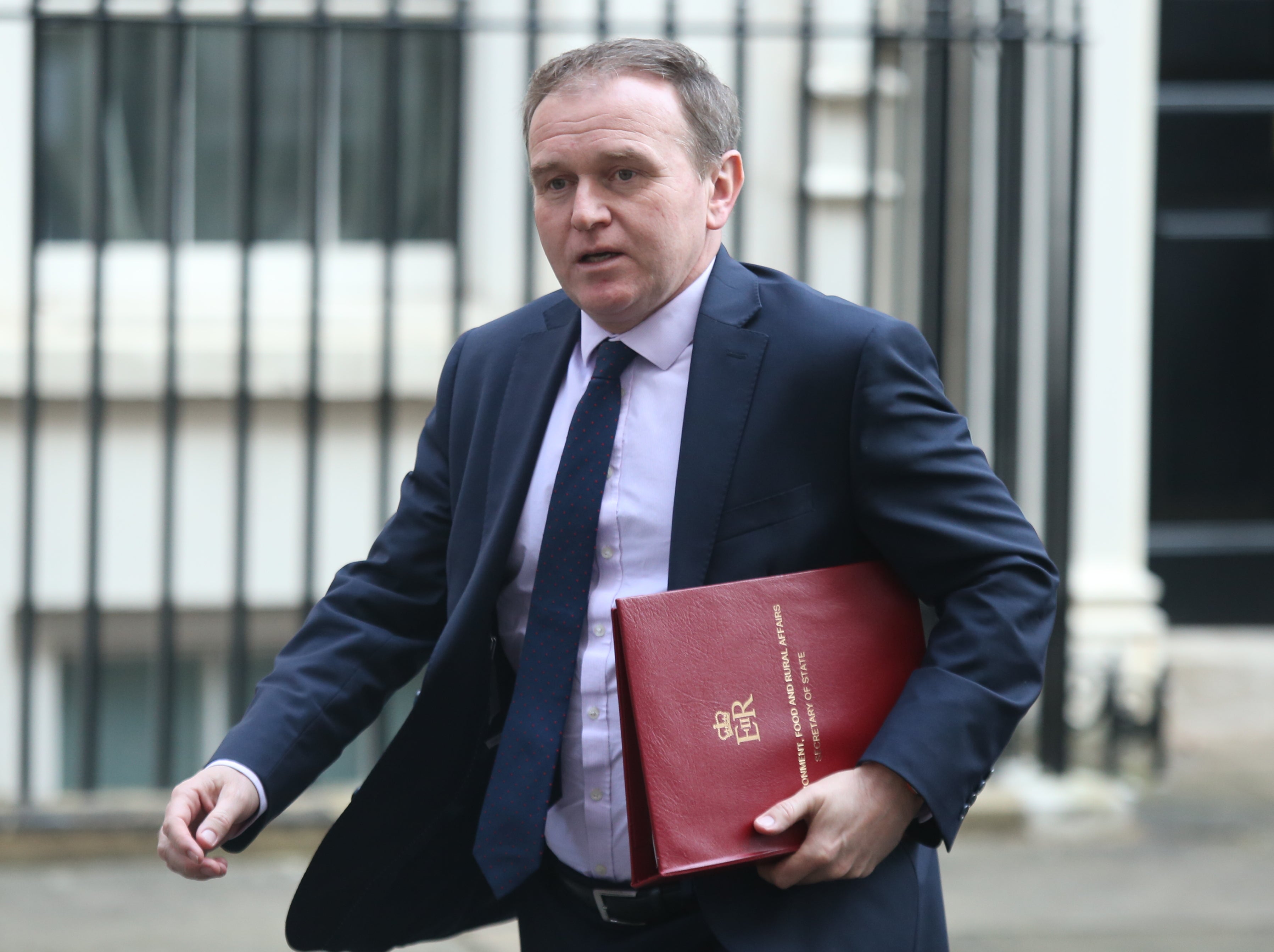 Former environment secretary George Eustice