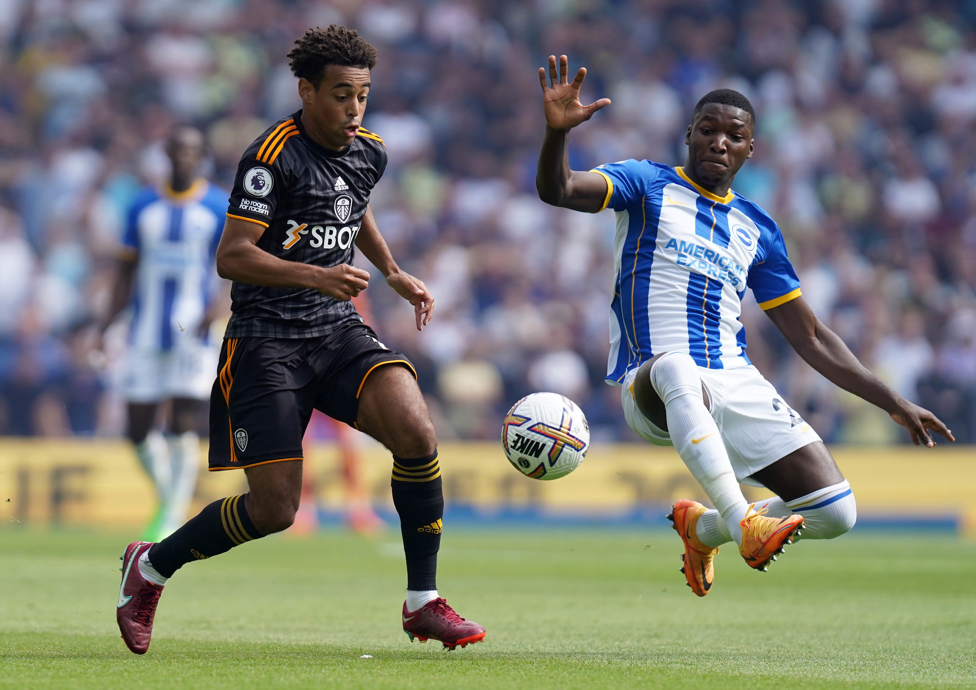 Fulham’s Tyler Adams (left) and Brighton’s Moises Caicedo battle