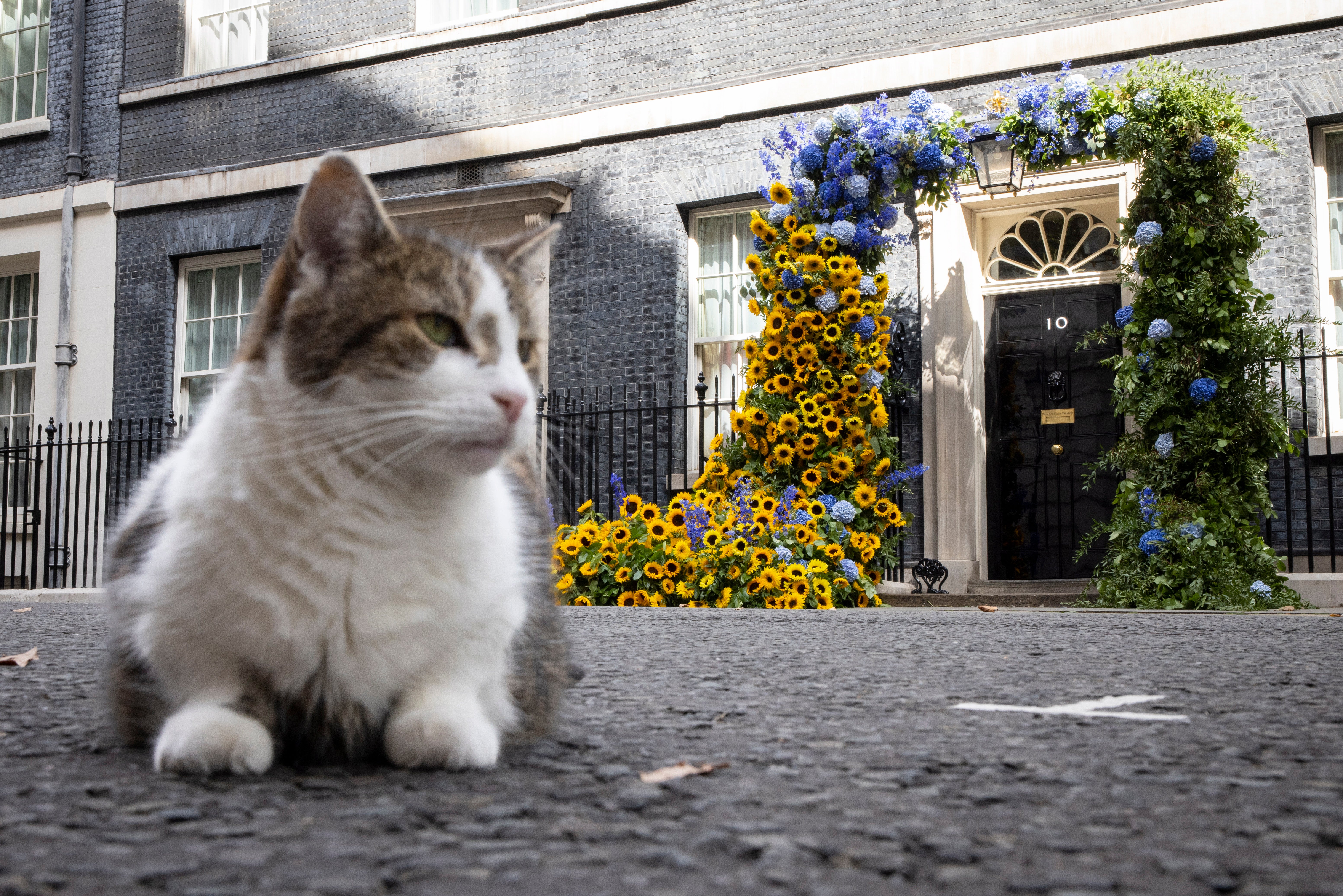 On 5 September, a new prime minister will take office