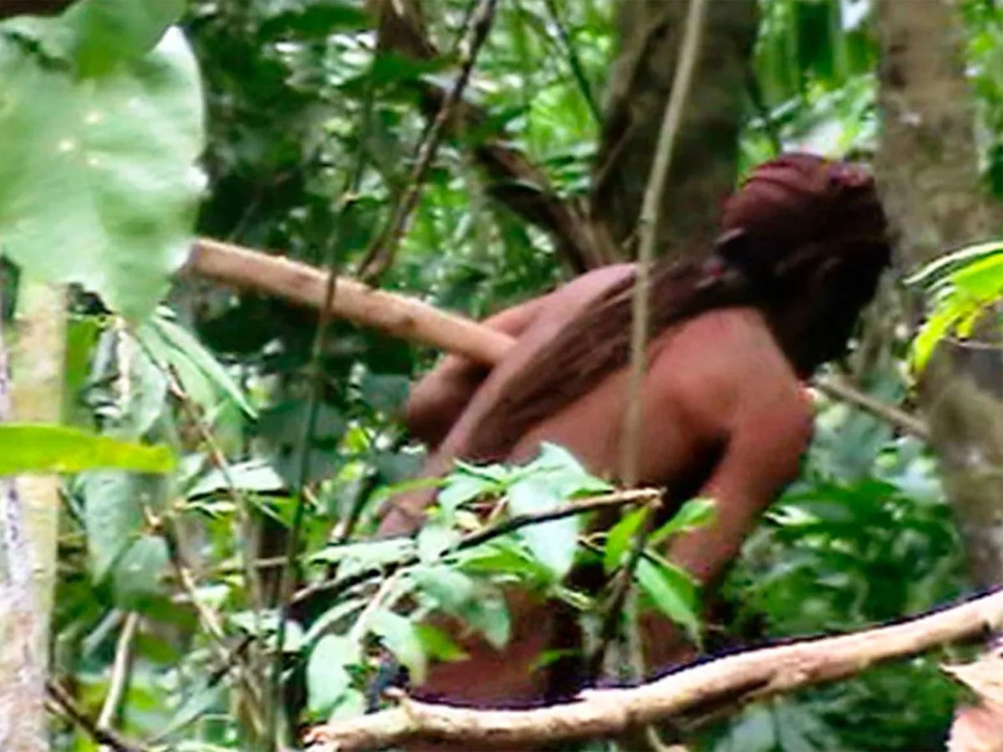 Man of the Hole captured on film by Brazilian Indigenous people agency