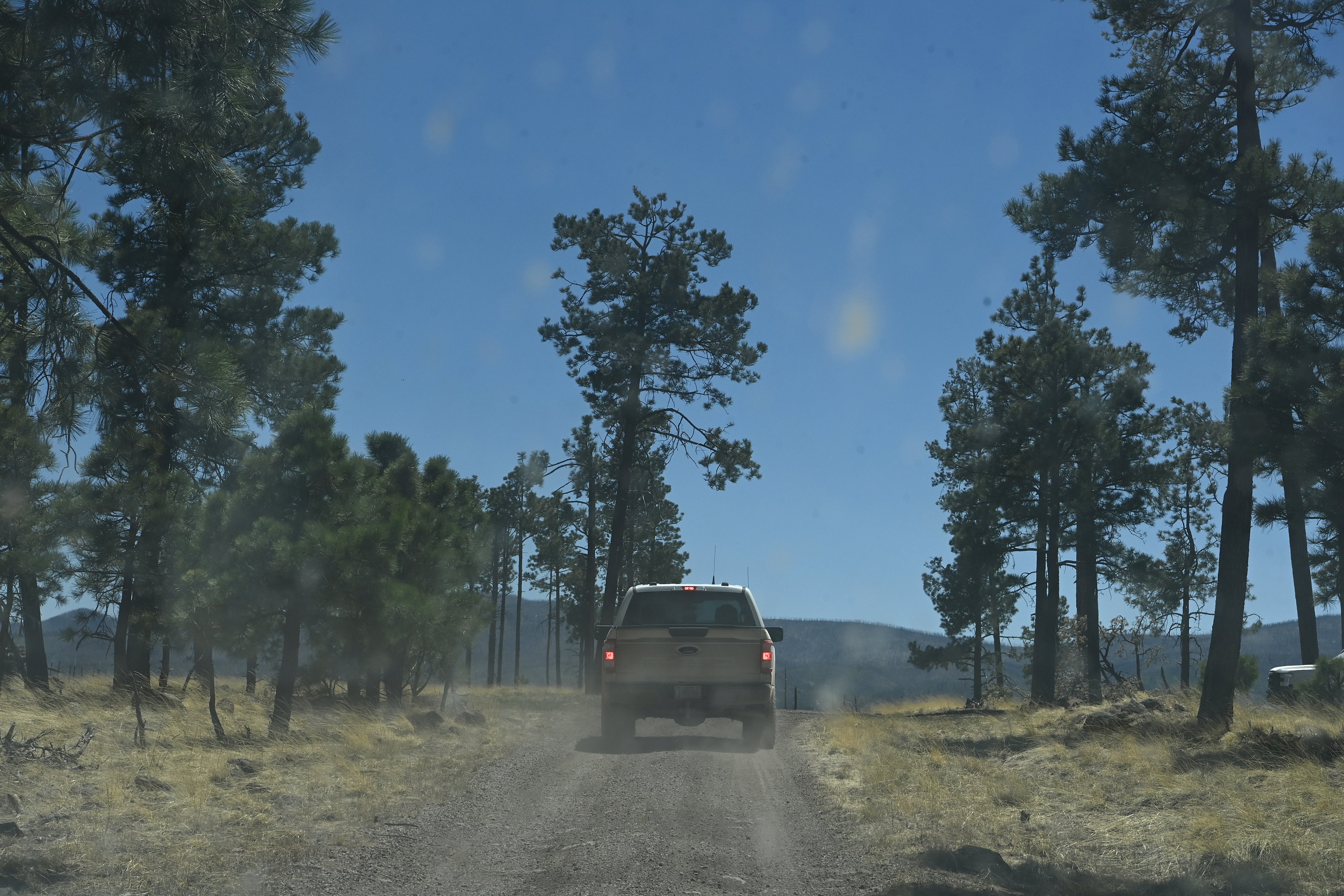 A caravan carrying two captive-born pups for placement drives in the direction of the Iron Creek wolf pack’s den