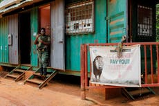 Lion kills man who scaled fence and jumped into its enclosure at Ghana zoo