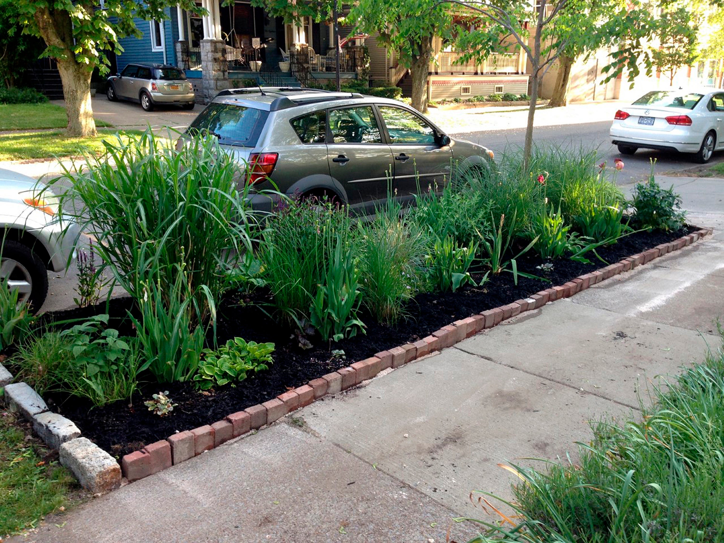 Gardening Hell Strips