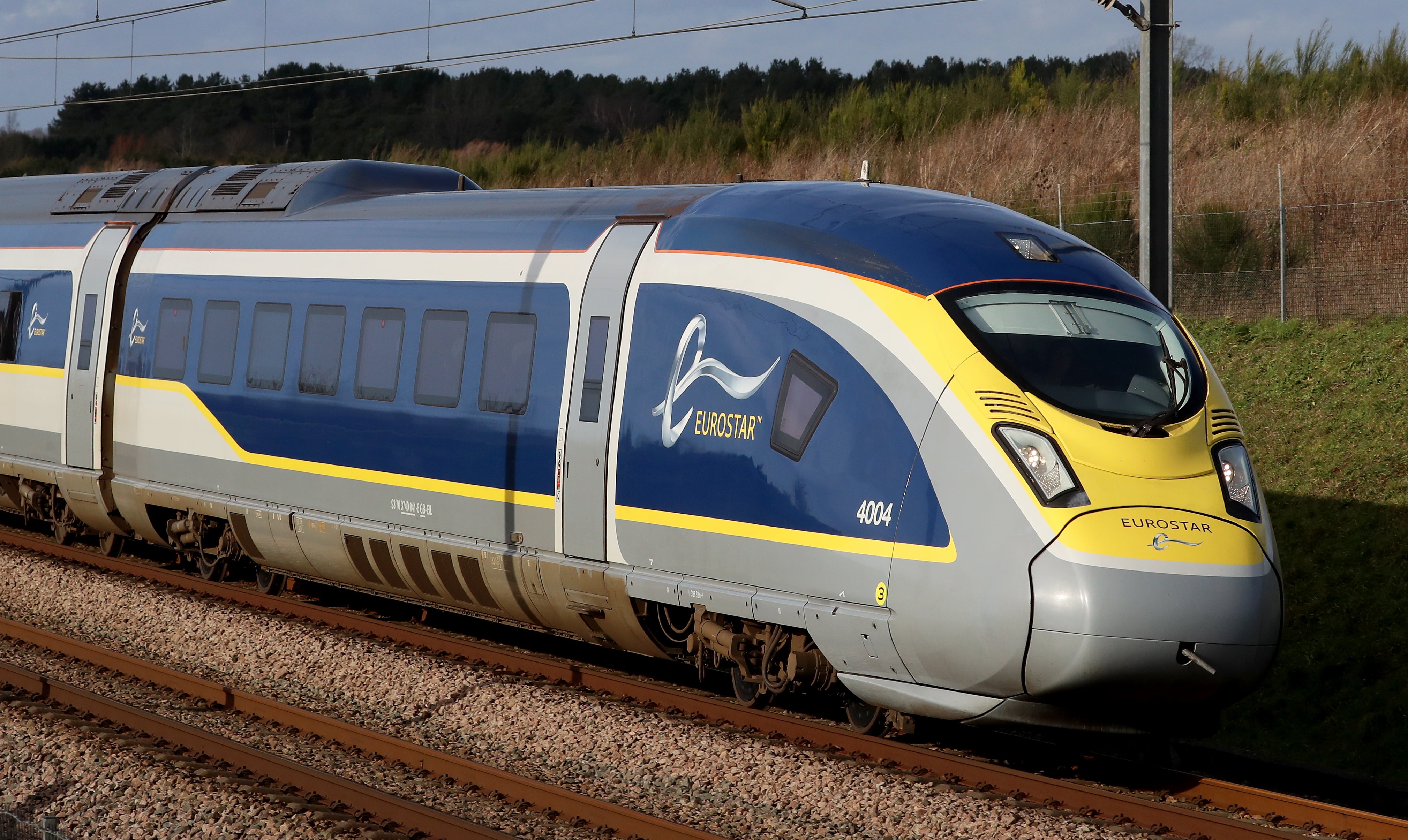 Eurostar is to axe its direct train service between London and Disneyland Paris (Gareth Fuller/PA)