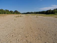 Shocking satellite images show impact of extreme drought on world’s rivers