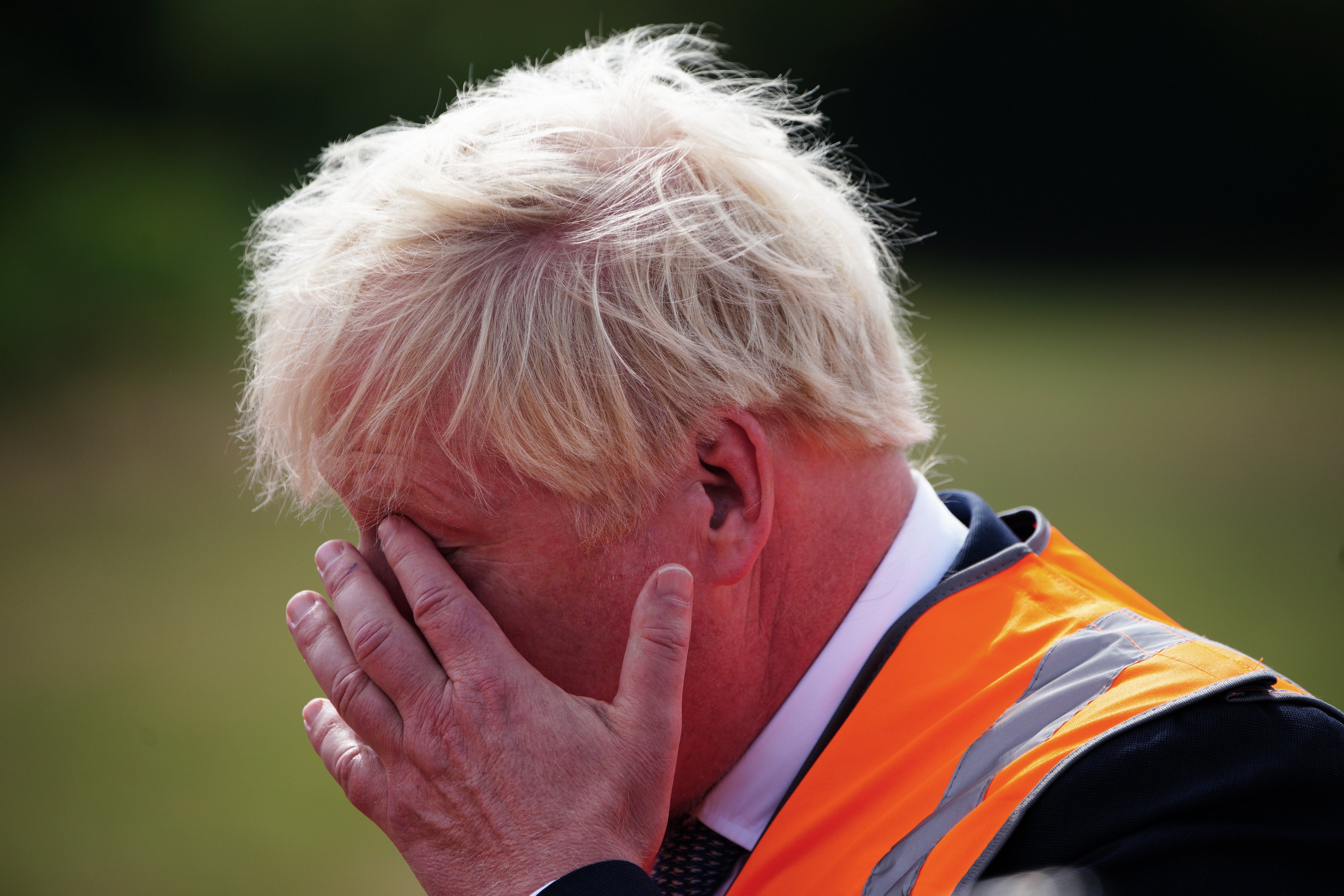 Prime Minister Boris Johnson during a visit to Henbury Farm in north Dorset (PA)