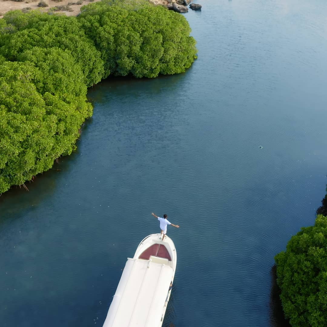 Nature fans can enjoy a boat tour through the lush environs of the Farasan Islands