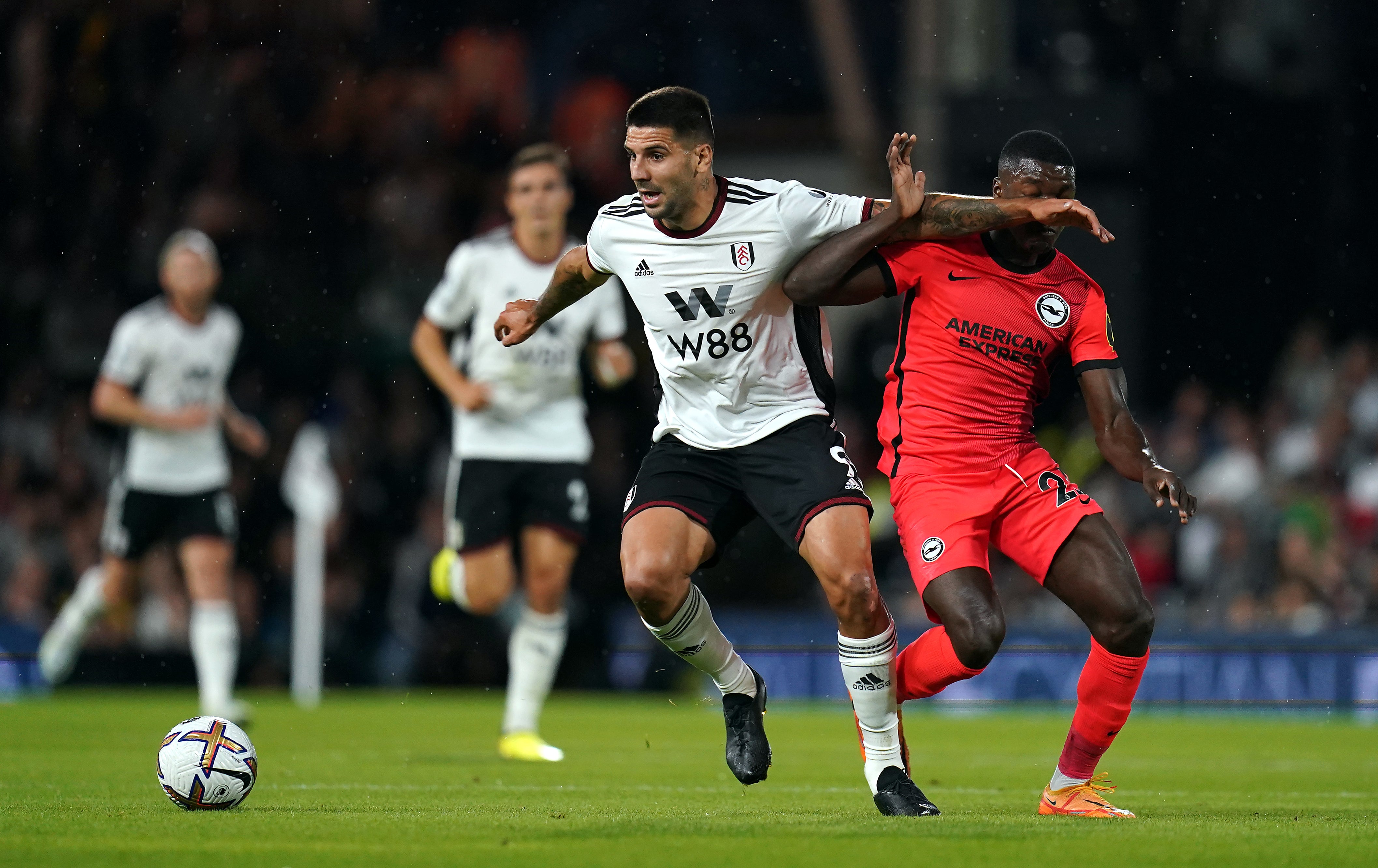 Marco Silva hailed the ‘unbelievable’ Aleksandar Mitrovic after his goal helped Fulham win 2-1 against Brighton (John Walton/PA)