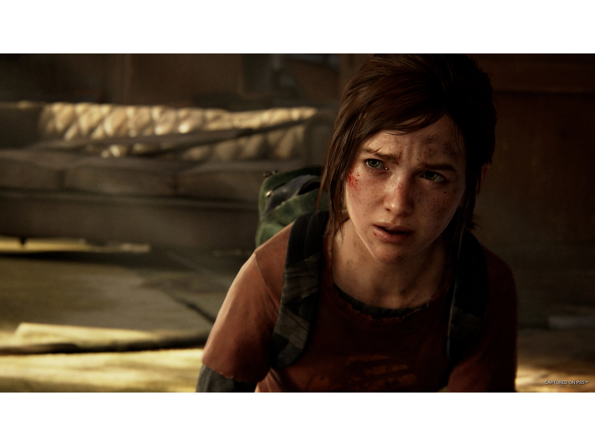 TLOU screenshot 3