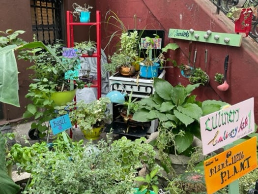 Perri Edwards garden is bursting with herbs and complete with an antique stove