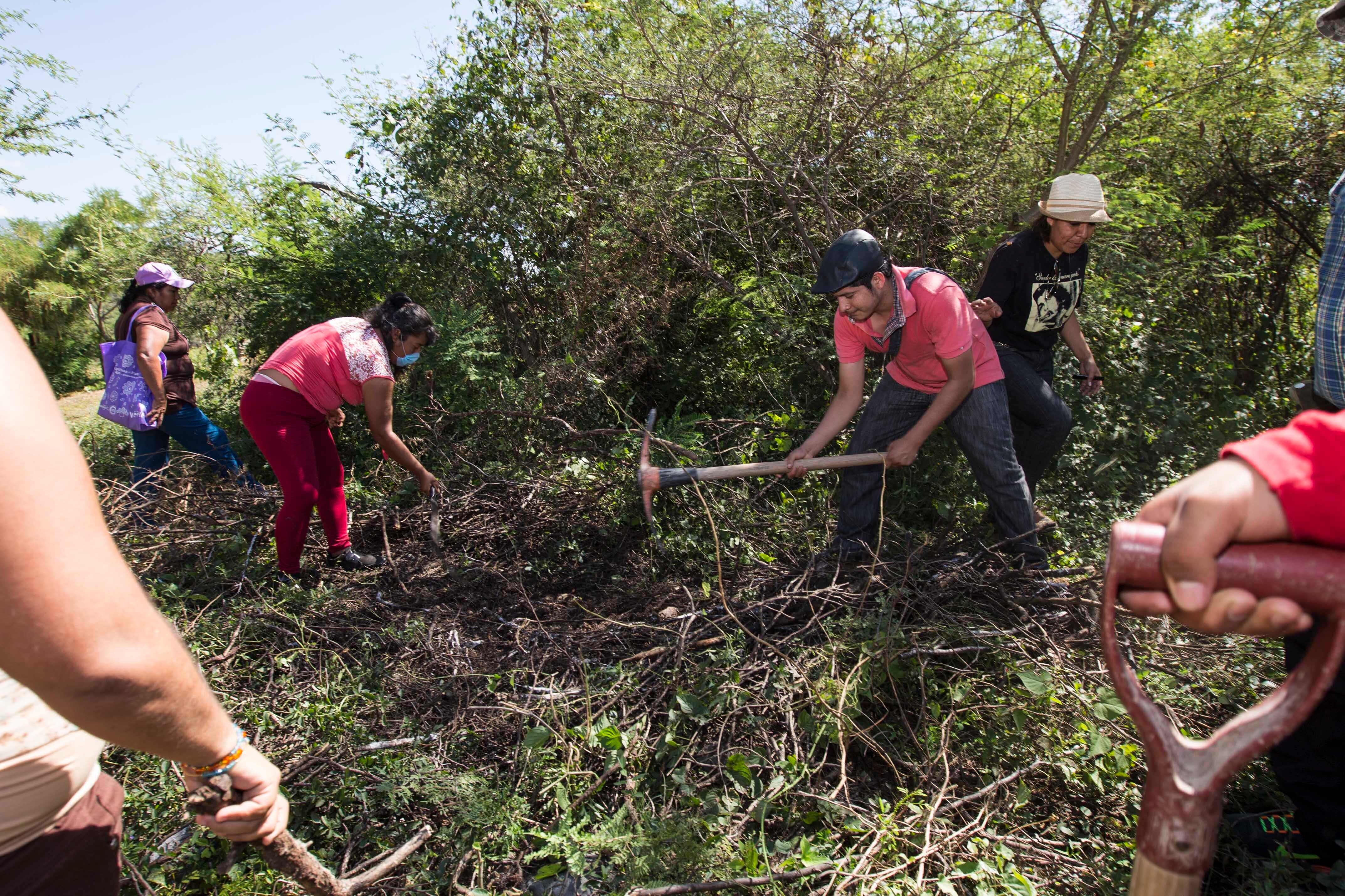 Mexico Activist Killed