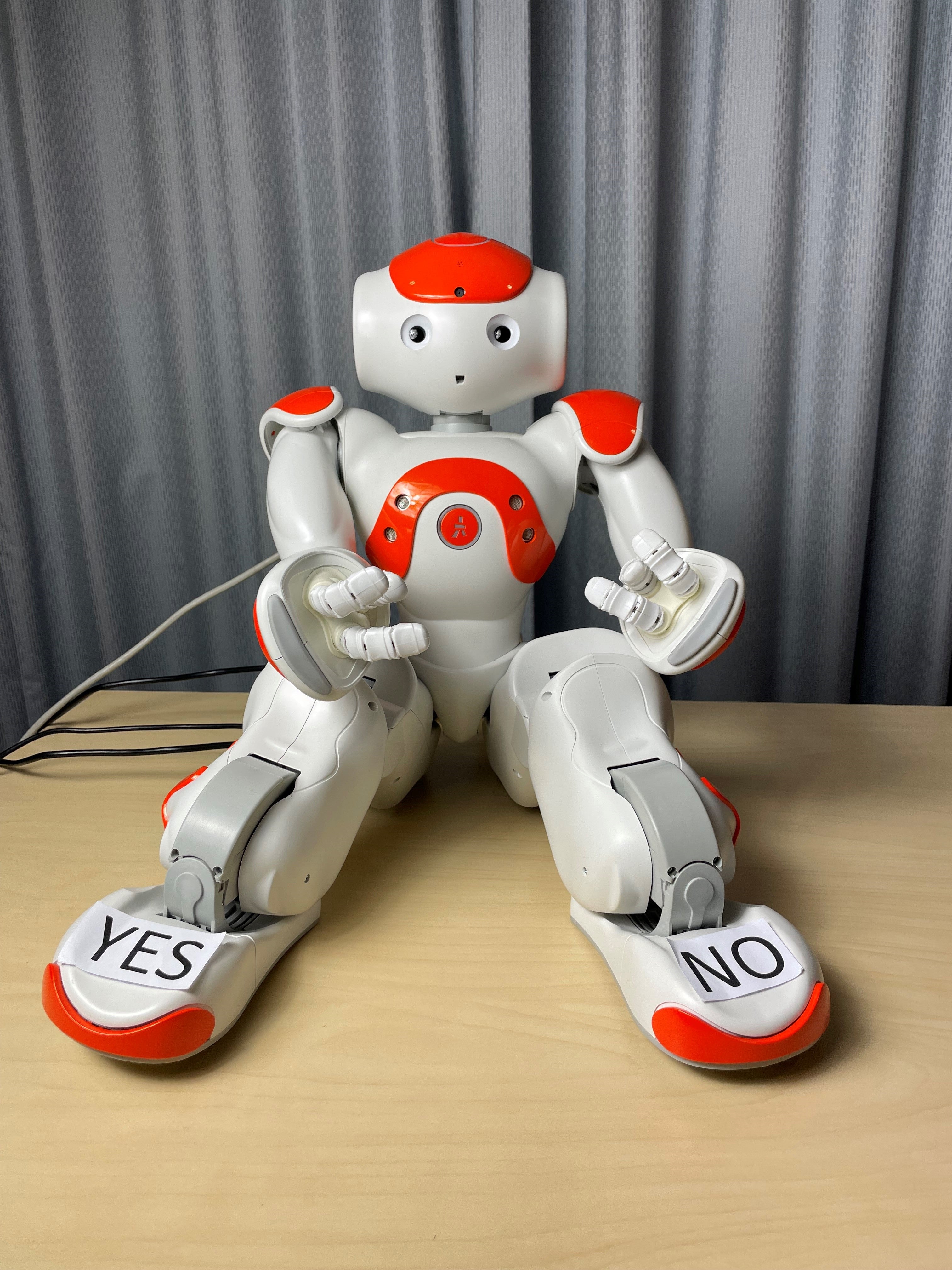 Robots could help to detect mental wellbeing issues in children, a study suggests. (Cambridge University/ PA)