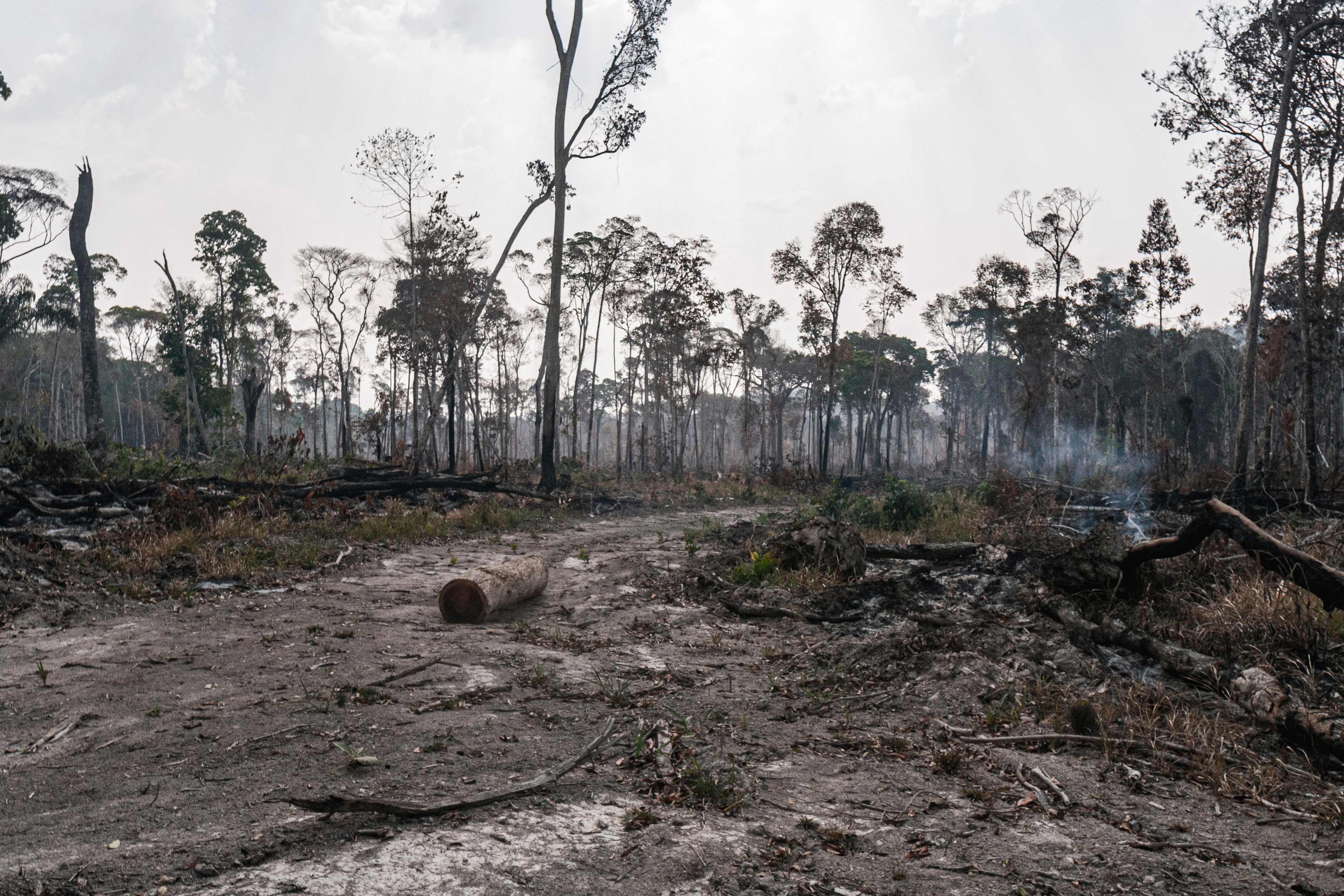 Brazil Amazon More Record Fire