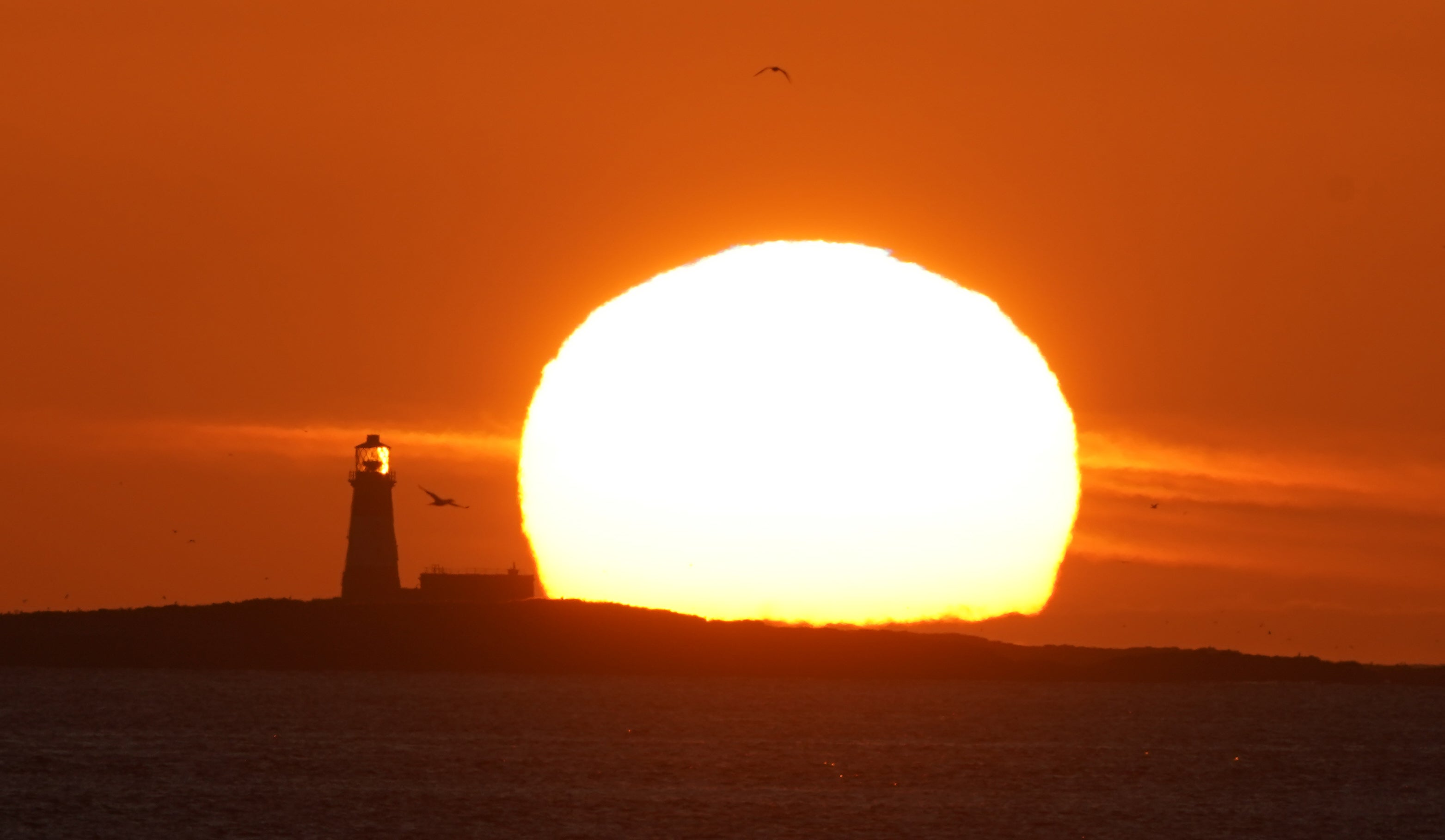 The hot summer included the record-breaking heat in July (Owen Humphreys/PA)