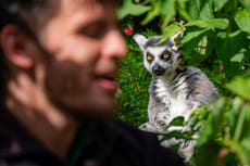 Bristol Zoo: World’s fifth oldest zoo to close site after 186 years