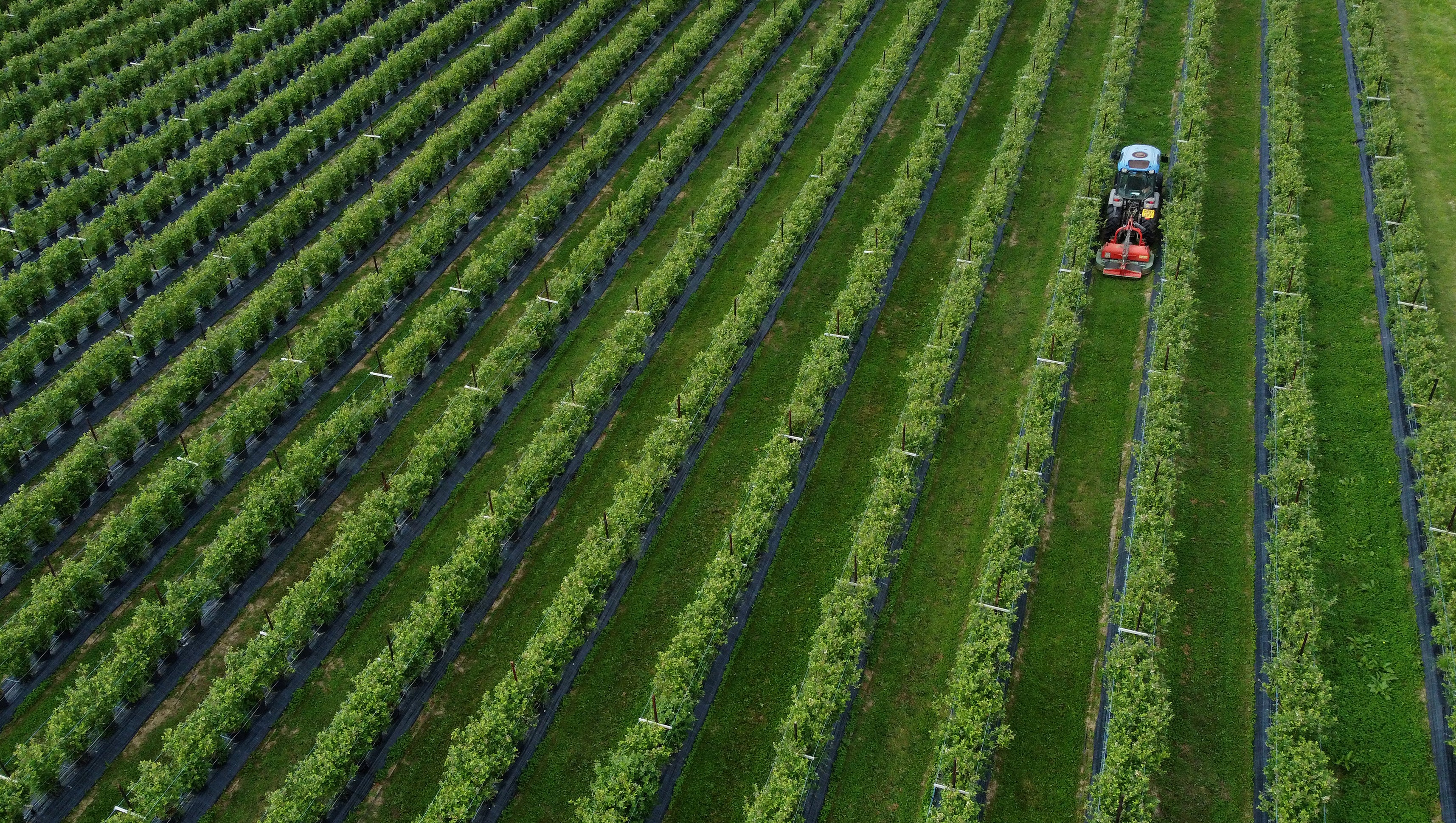 Farmers are facing massive fertiliser costs (Gareth Fuller/PA)