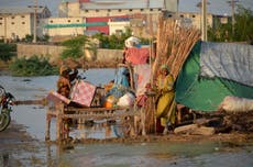 Summer of extreme weather ‘threatens global food supplies’, scientists warn