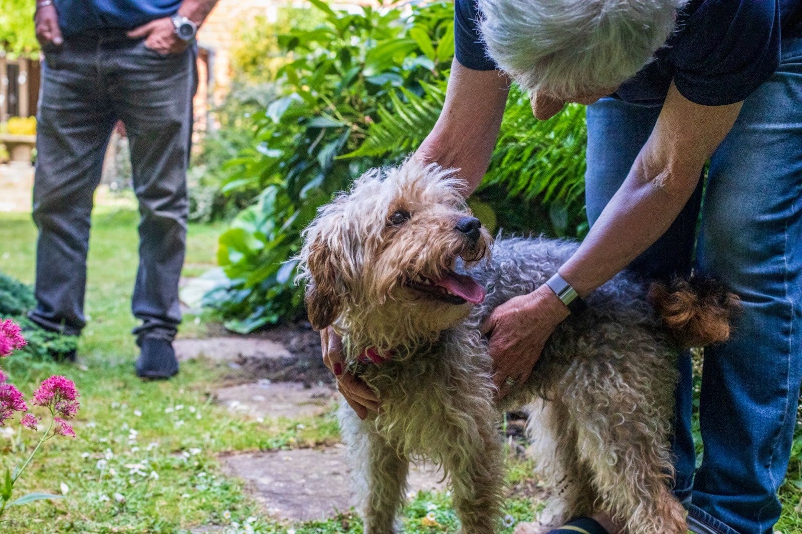 Bella with her new owners (RSPCA/PA)