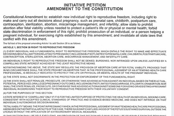 Election 2022 Michigan Abortion