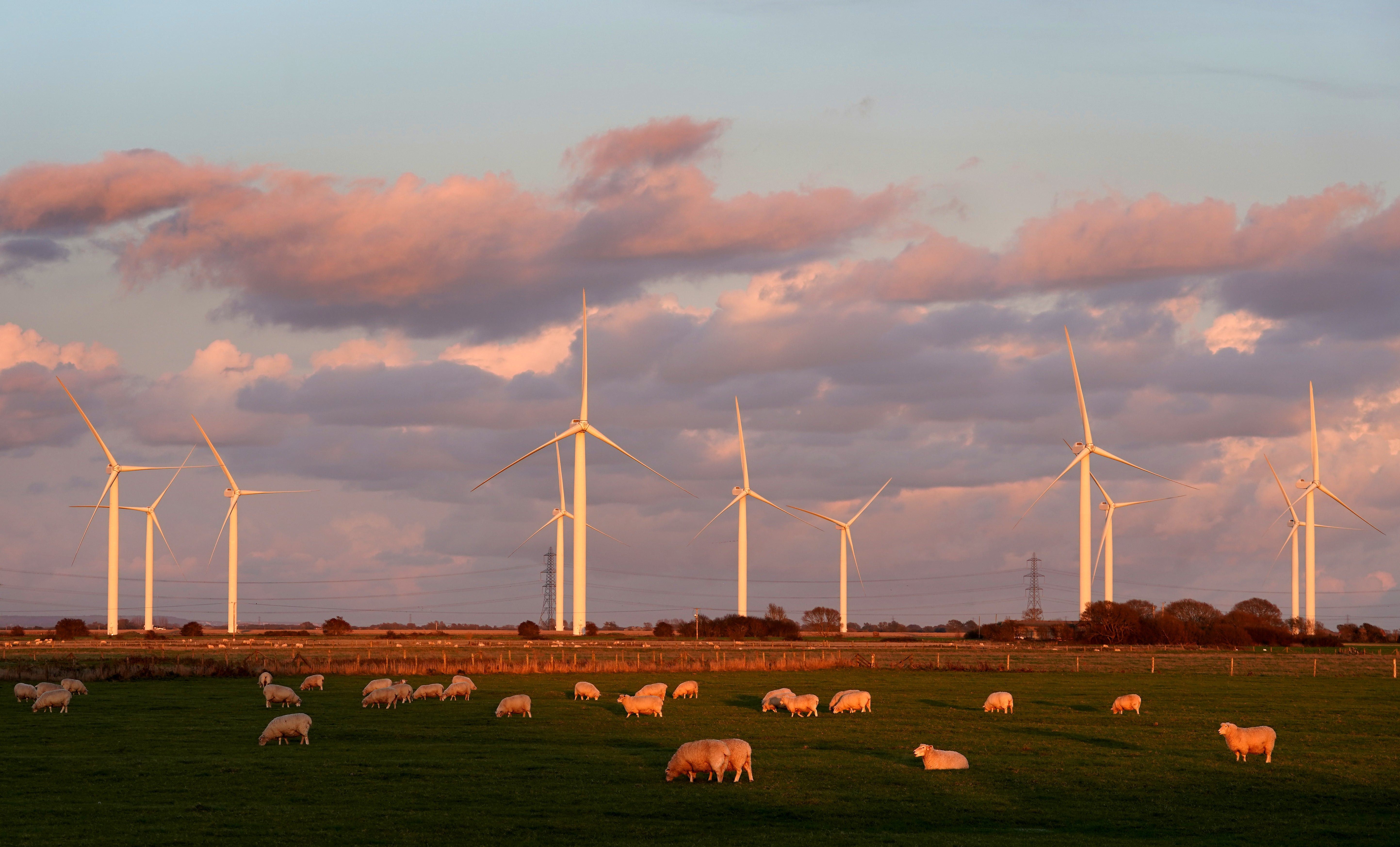 Significant changes are needed to meet the 2030 targets (Gareth Fuller/PA)