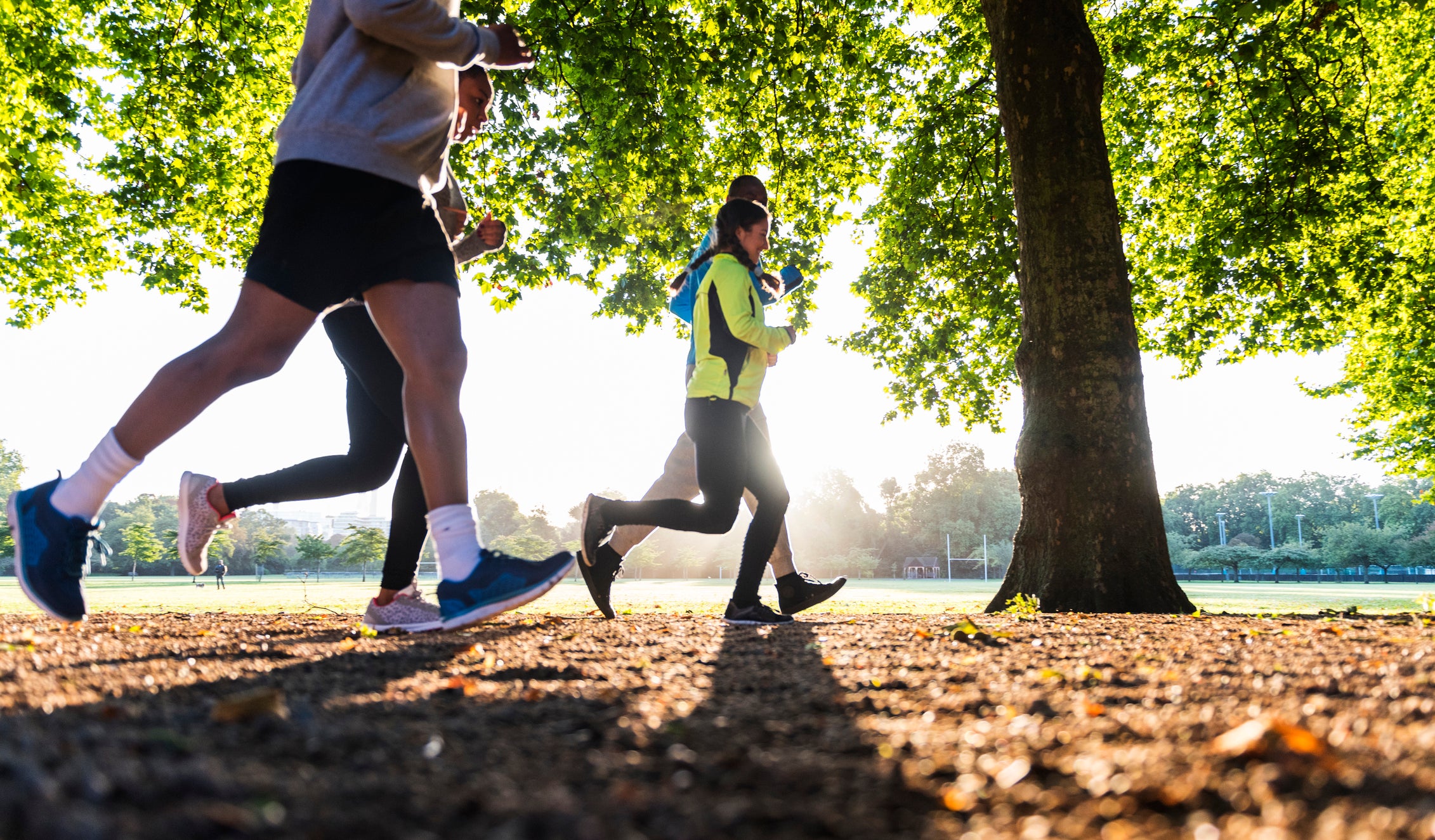 Experts believe that frequent exercisers develop better self-regulatory systems