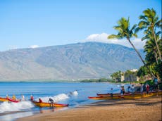 French tourist in critical condition after shark attack in Hawaii