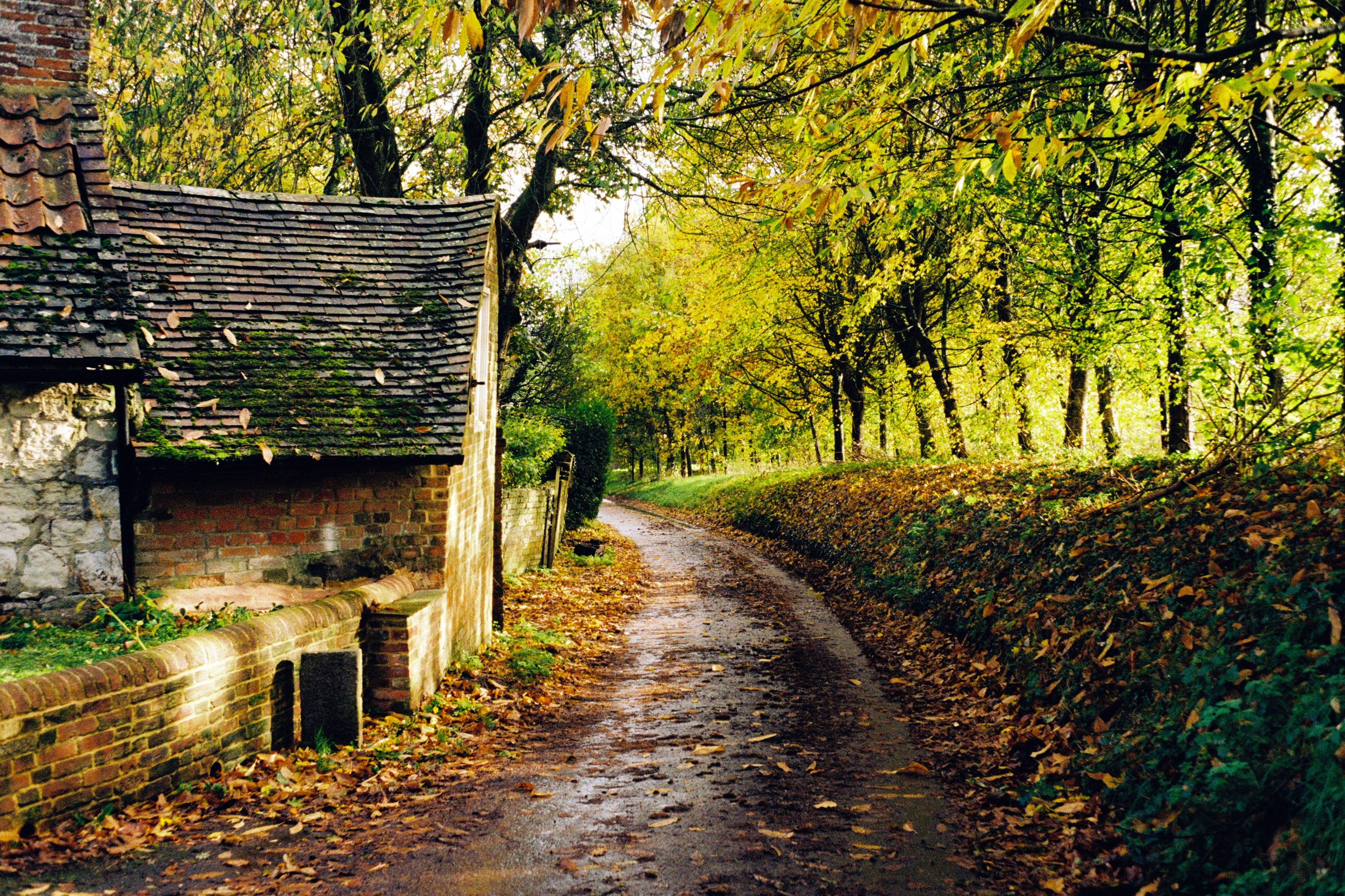 Stroll through winding streets and magical woods