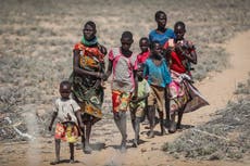 Limiting warming to 2C can prevent 80% heat-related deaths in Middle East and North Africa