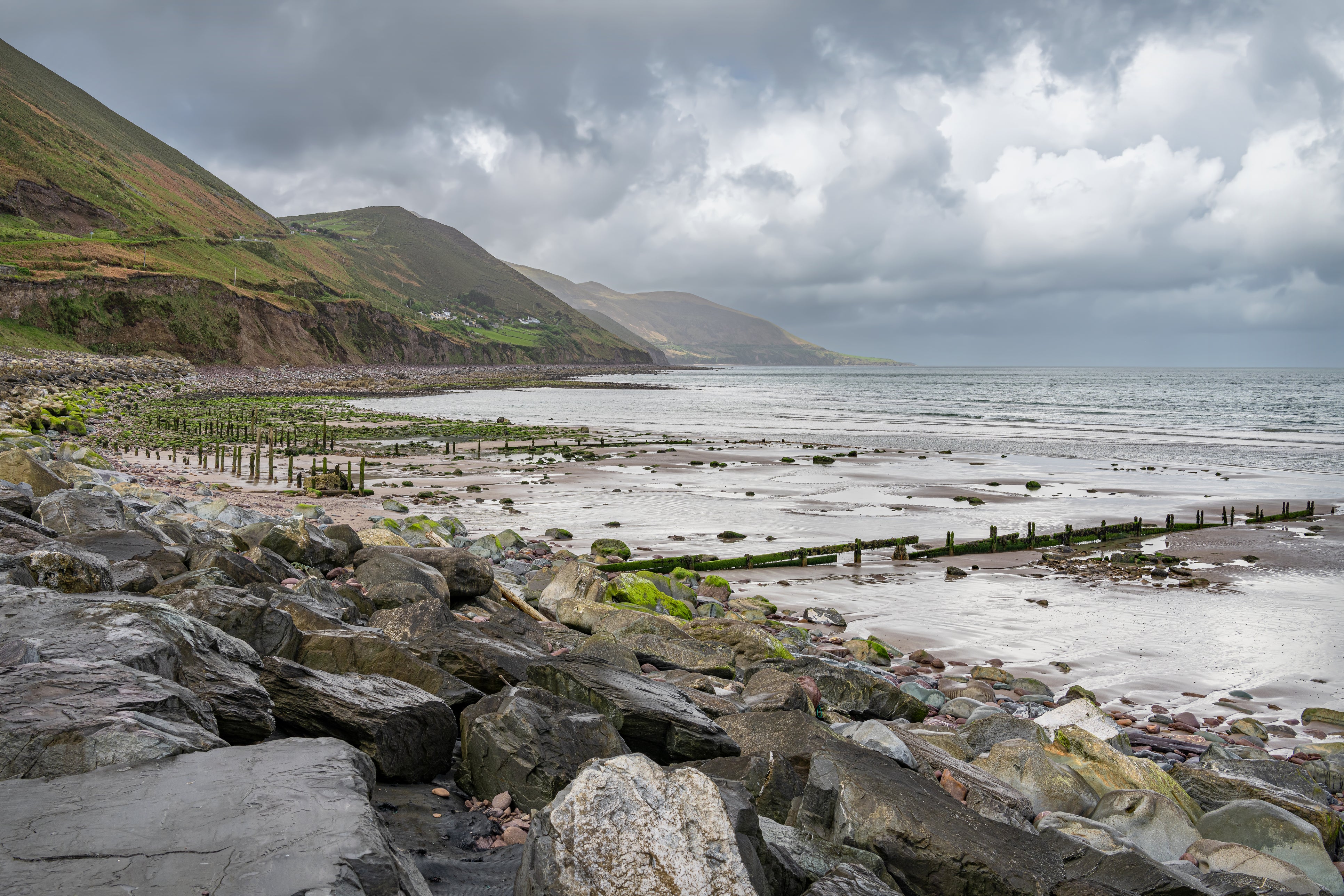 The horse race took place on Rossbeigh beach in County Kerry