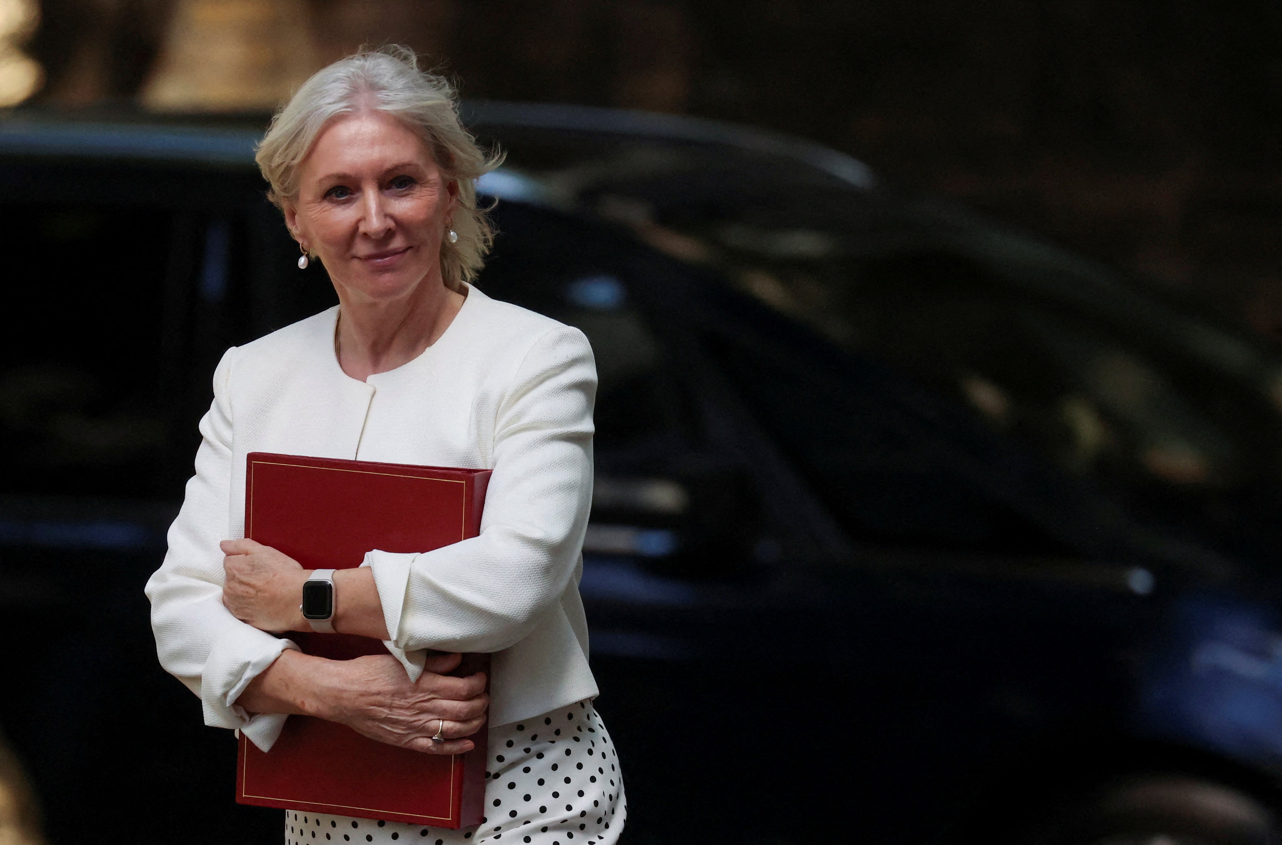 Ms Dorries is believed to have been offered a role but turned it down