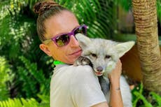 Woman runs ‘fox sanctuary’ from her home where they ‘do their business on the floor’