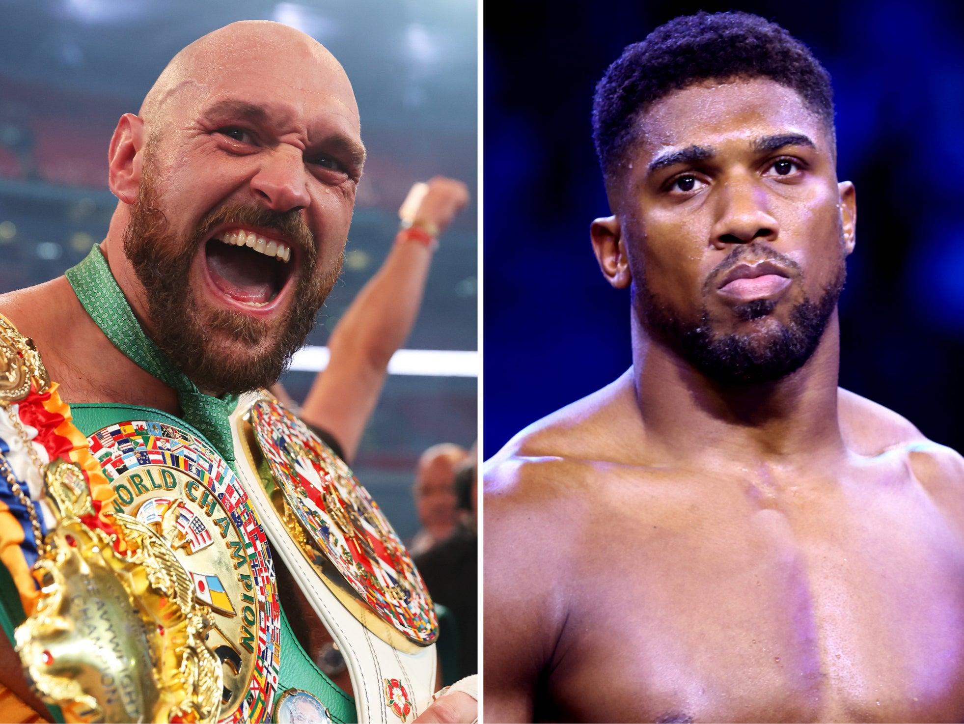 Fans have long hoped to see Tyson Fury (left) fight Anthony Joshua