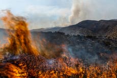 Extreme weather drives European wildfire carbon emissions to record levels