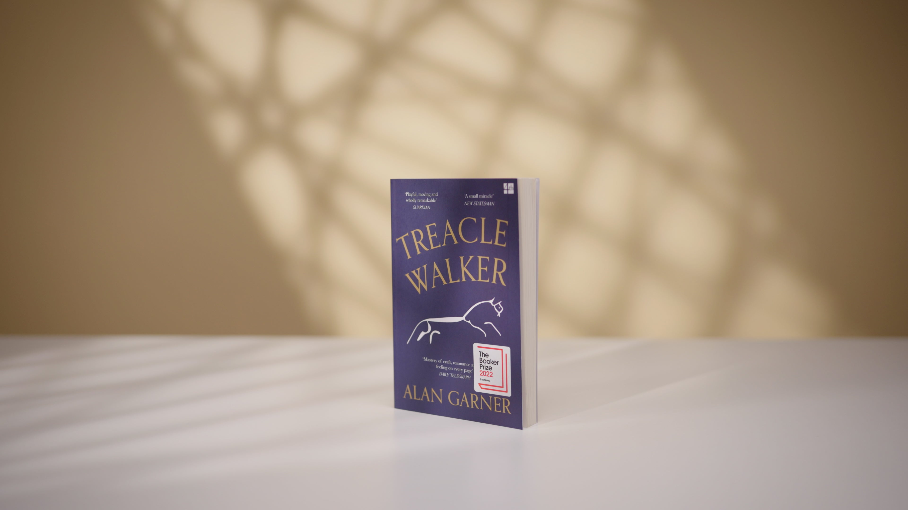 Treacle Walker by Alan Garner has been shortlisted for the 2022 Booker Prize (PA)