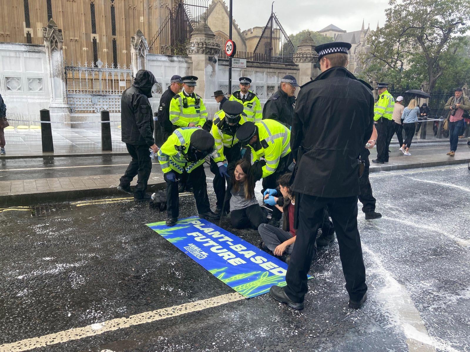 Some Animal Rebellion campaigners were arrested after taking part in a protest outside the Houses of Parliament