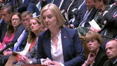 Online Safety Bill will return to House of Commons, Liz Truss confirms