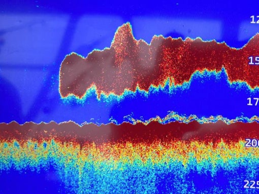 Ocean scanner registers 50-foot ‘Megalodon’ shape in Atlantic
