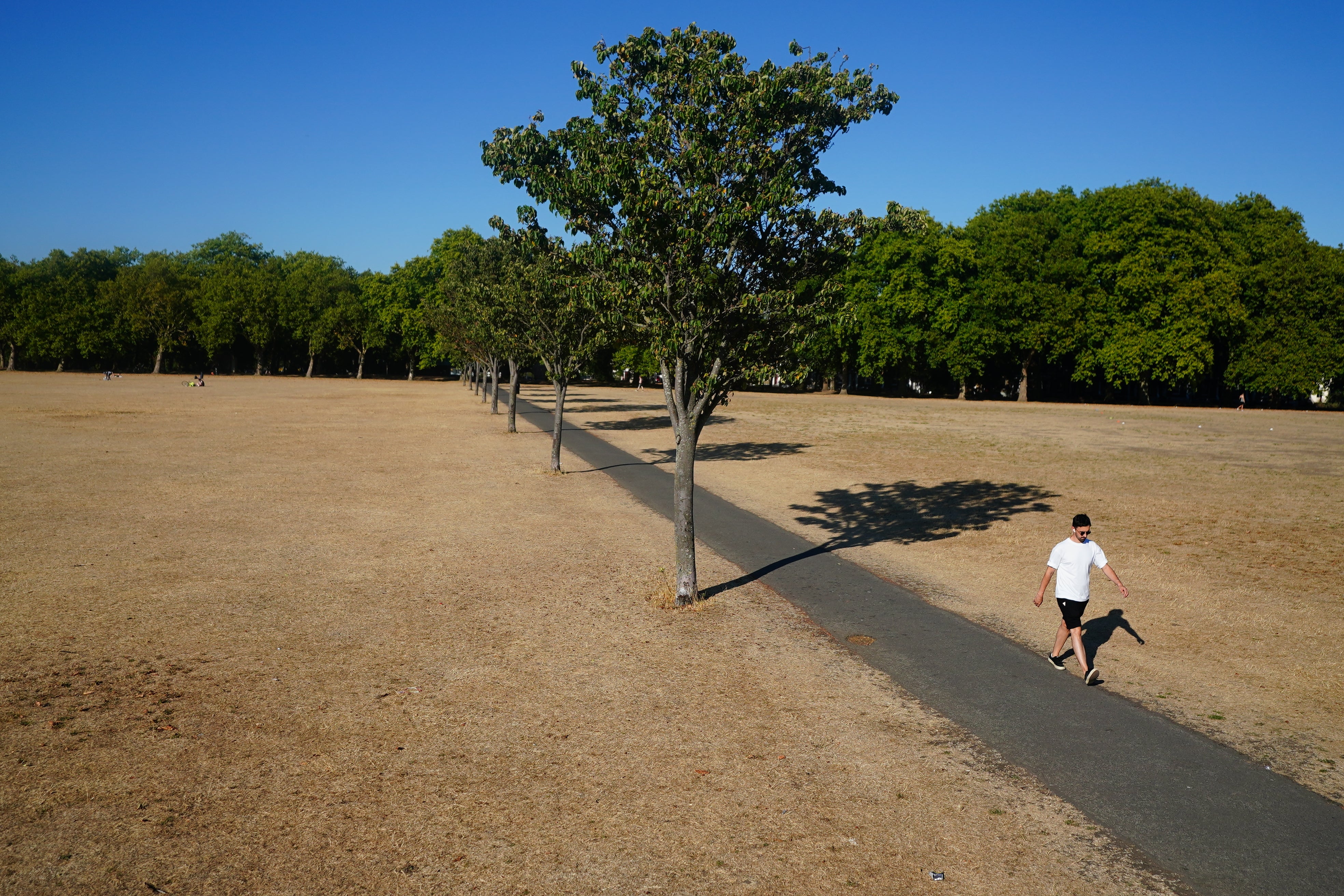 A person walking on a path amongst dead grass in Victoria Park, east London in August (PA)