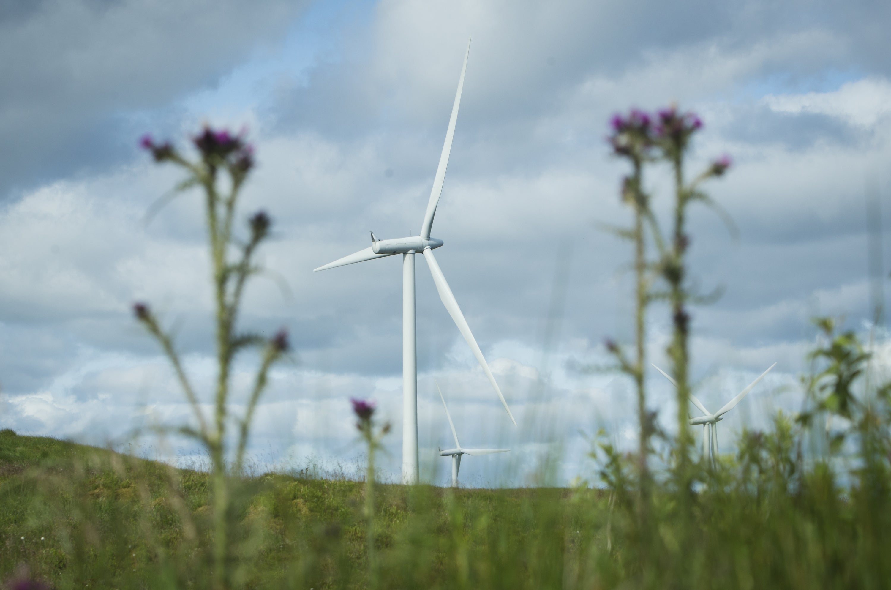 On and offshore wind turbines can help solve the crisis, energy boss Keith Anderson said (Danny Lawson/PA)