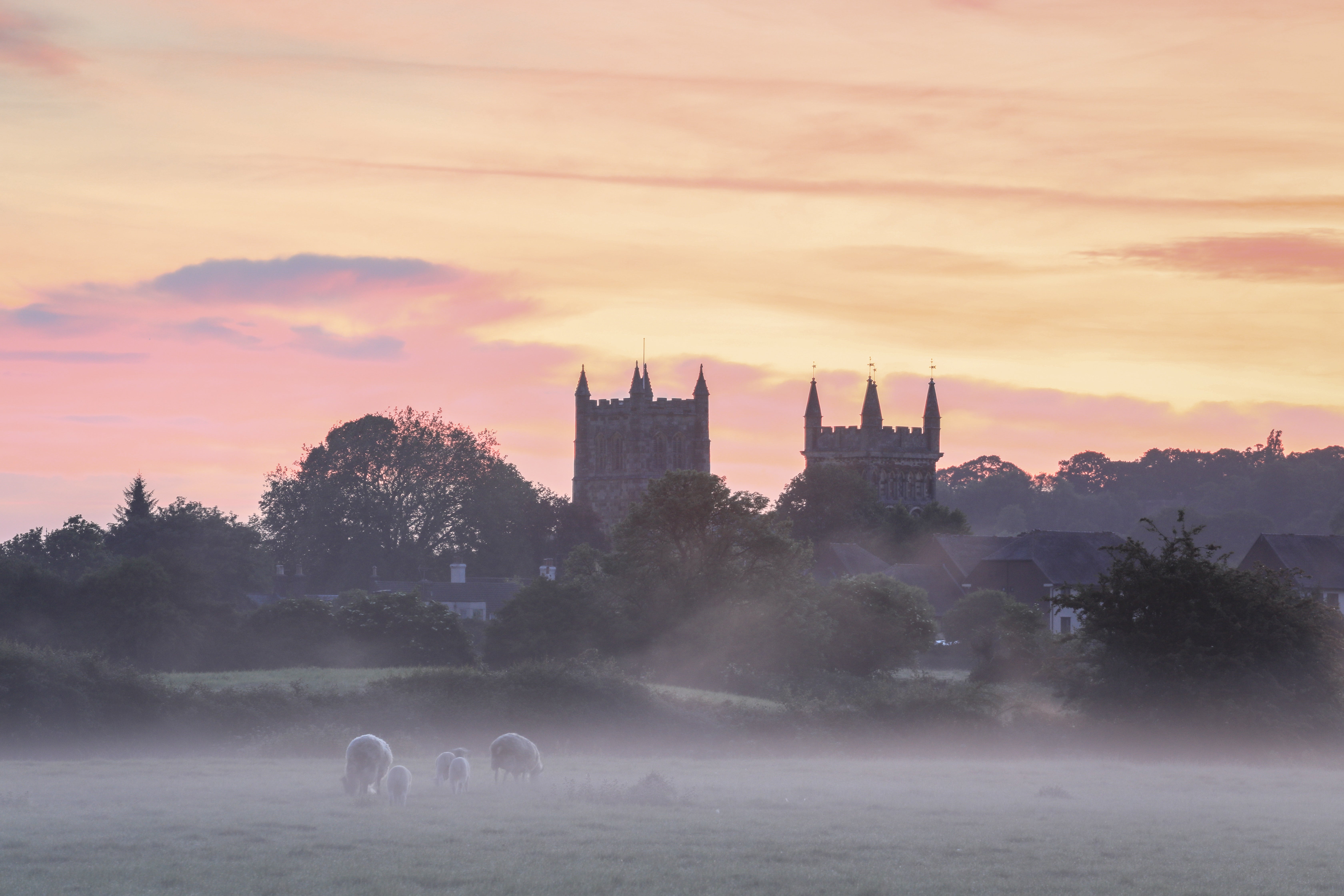 Wimborne Minster, north of Poole